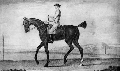 リトルドライバー、c1850-1900、1911 作： Unbekannt