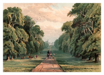 ロングウォーク、ウィンザーパーク、1880 作： Unbekannt
