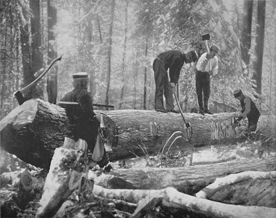 カナダ、オタワ川の製材所、c1897。 作： Unbekannt