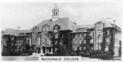 マクドナルドカレッジ、モントリオール、カナダ、c1920s 作： Unbekannt