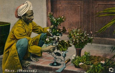 マリー庭師、c1900 作： Unbekannt