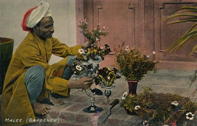 マリー。庭師、c1910。 作： Unbekannt