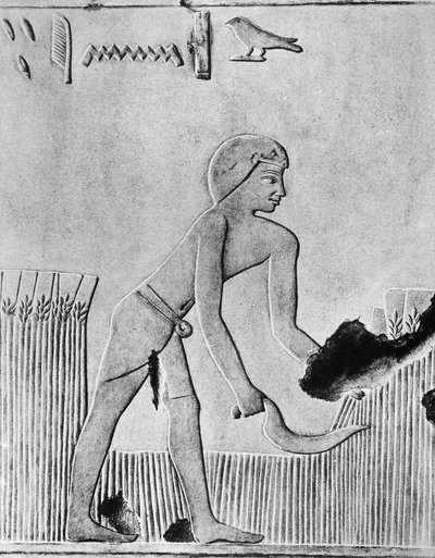 鎌、おそらくフリントがセットされた木材で大麦を刈り取る男、古代エジプト、紀元前240年 作： Unbekannt