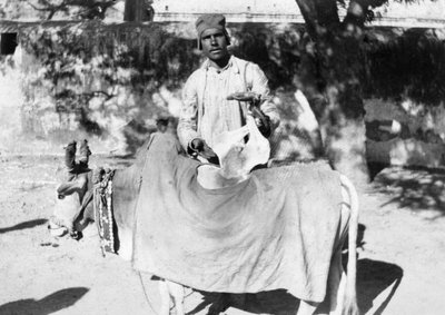 1916年から1917年にかけて変形した牛を持つ男、インド 作： Unbekannt