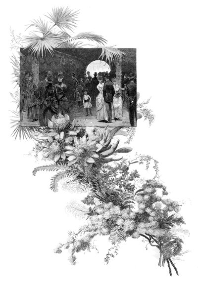 マンリーワイルドフラワーショー、シドニー、ニューサウスウェールズ州、オーストラリア、1886 作： Unbekannt