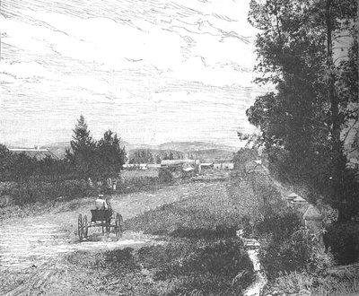 マーケットストリート、プレトリア、c1880s 作： Unbekannt