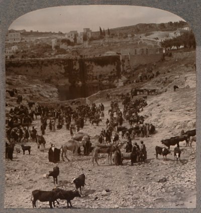 ギホンのプールでの市場の日、c1900 作： Unbekannt