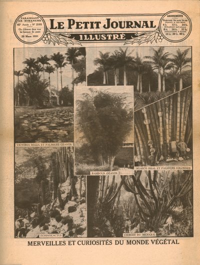 植物世界の驚異と好奇心、1931年。 作： Unbekannt