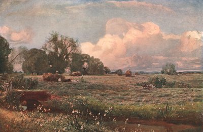Meadow Sweets、1893、c1902。 作： Unbekannt