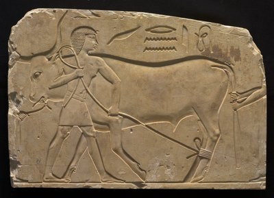 雄牛を縛る男性、紀元前667〜647年。 作： Unbekannt