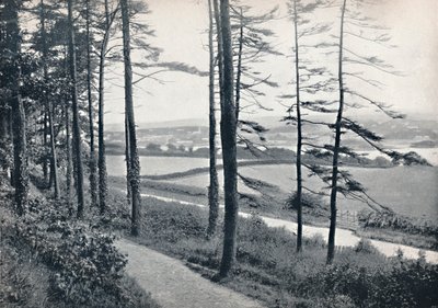 メナイ-バンゴーウッドから、1895 作： Unbekannt