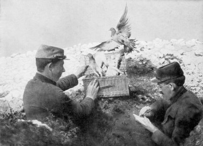 第一次世界大戦、1915年の最前線で解放されているメッセンジャーハト 作： Unbekannt