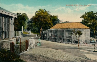 ミッチェルパーク動物園、ダーバン、c1915 作： Unbekannt