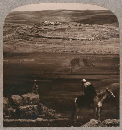 ミズペ、ジェイコブスプララーオブストーンズ、c1900 作： Unbekannt