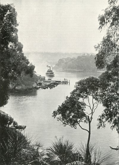 Cremorne Jetty、c1900のモスマンズベイ。 作： Unbekannt
