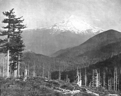 マウントフッド、オレゴン、米国、c1900。 作： Unbekannt