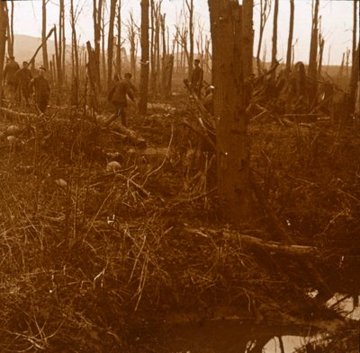 ケンメル山、フランダース、ベルギー、c1914-c1918 作： Unbekannt