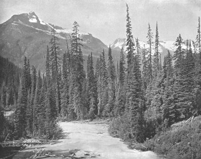 Mount Cheops and Hermit、セルカークレンジオブザロッキーズ、アメリカ、c1900。 作： Unbekannt