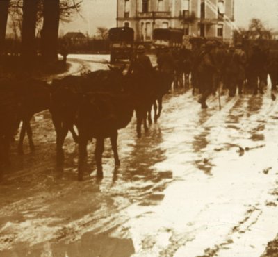 物資が入ったラバ列車、北フランス、ヴェルダン、c1914-c1918 作： Unbekannt