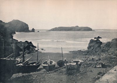 マリオンコーブ-マリオン島、1895 作： Unbekannt