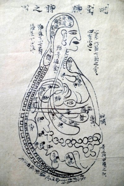 ベトナム伝統医学博物館、チャンネルと容器、鍼灸の本、ベトナム、ホーチミン市 作： Unbekannt