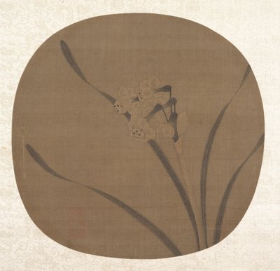 水仙、13世紀。 作： Unbekannt