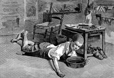 水仙、1882 作： Unbekannt