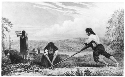 1839年、乳房プラウを使用したパタゴニアのチロエ原住民 作： Unbekannt
