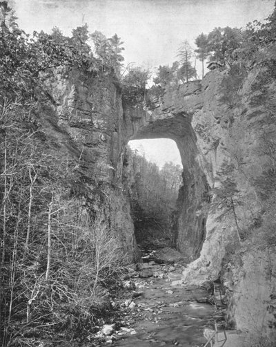 ナチュラルブリッジ、バージニア州、米国、c1900。 作： Unbekannt