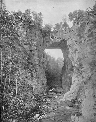 ナチュラルブリッジ、バージニア州、c1897。 作： Unbekannt