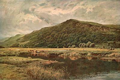 Natures Mirror、1882年、c1902。 作： Unbekannt
