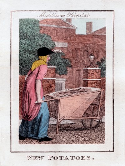 ニューポテト、ミドルセックス病院、ロンドン、1805 作： Unbekannt