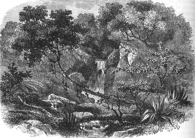 ニュージーランドの風景、c1880 作： Unbekannt
