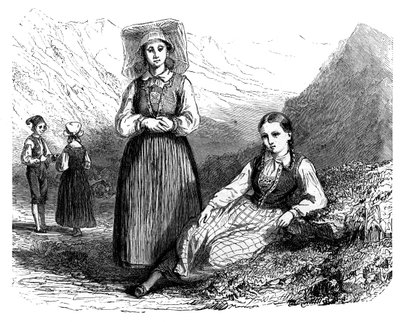 Lovardalsskardのノルウェー人、c1890 作： Unbekannt