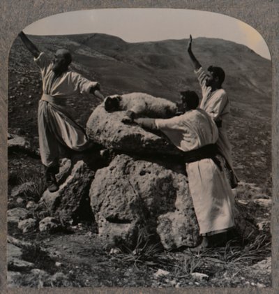祭壇、モレ、c1900で子羊の犠牲を捧げる 作： Unbekannt