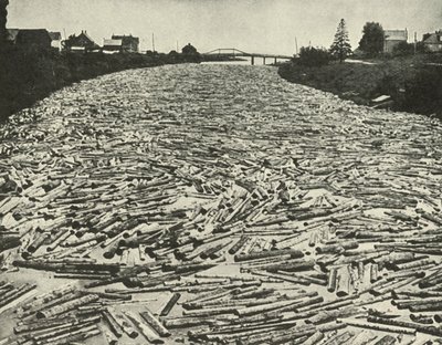 製材所へ向かう途中、c1948。 作： Unbekannt