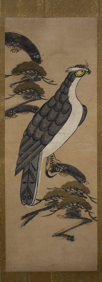 松に隼の乙絵、18世紀。 作： Unbekannt