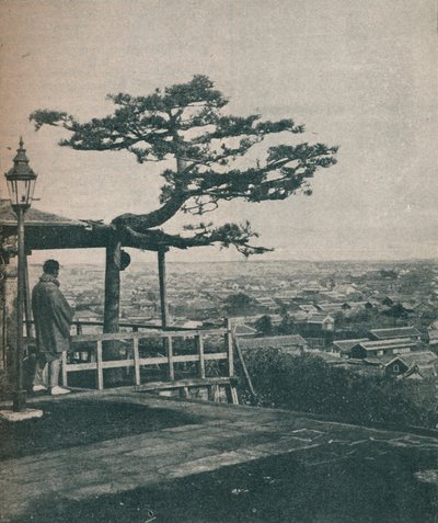 1907年、日本の首都、東京を見下ろす 作： Unbekannt