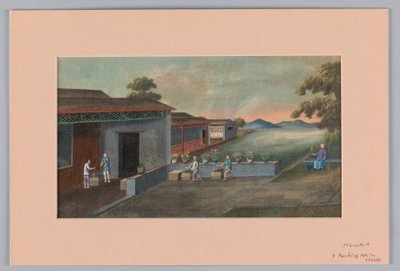 茶葉をチェストに詰める作業、1890-1910年 作： Unbekannt