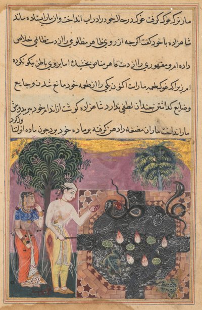 テイルズオブオウムトゥティナマのページ：18夜目：王子、c。 1560年。 作： Unbekannt