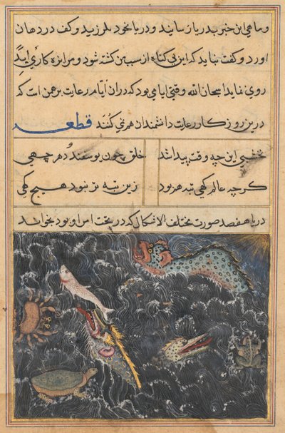 テイルズオブオウムトゥティナマのページ：11夜目：海の生き物c。 1560年。 作： Unbekannt