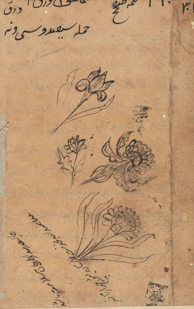 テイルズオブオウムトゥティーナマのページ：テキストページ、c。 1560年。 作： Unbekannt