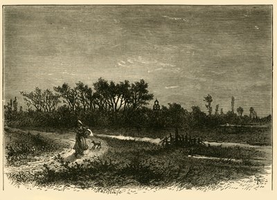 ピークからのピーク、1898年。 作： Unbekannt