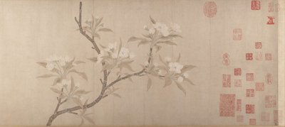 梨の花、ca。 1280。 作： Unbekannt