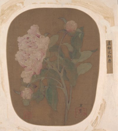 牡丹の花と葉。 作： Unbekannt