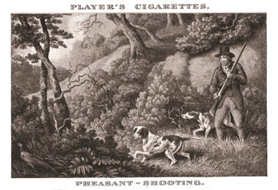 キジ撮影、1924年。 作： Unbekannt