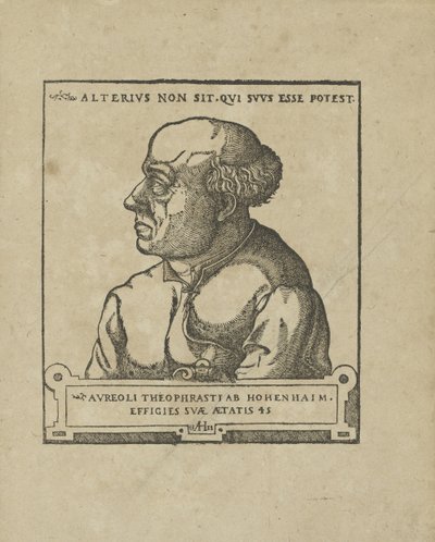 Philippus Theophrastus Aureolus Bombastus von Hohenheim Paracelsus、ca 1538。 作： Unbekannt