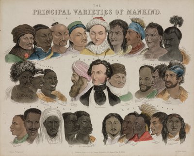 人相学「人間の主な種類」1850年5月3日 作： Unbekannt