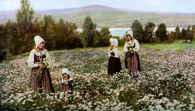 スウェーデン、レクサンド近郊の牧草地で花を摘むc1923 作： Unbekannt