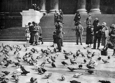 ロンドン、トラファルガースクエアの鳩、1926年〜1927年 作： Unbekannt